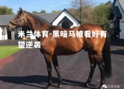 米兰体育-黑暗马被看好有望逆袭