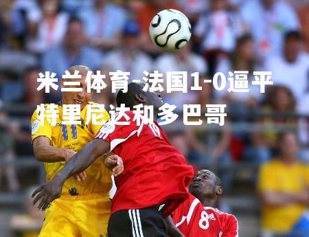 法国1-0逼平特里尼达和多巴哥