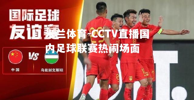 CCTV直播国内足球联赛热闹场面