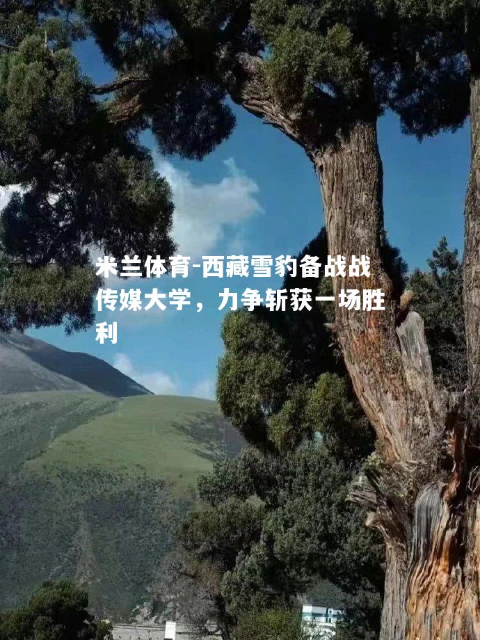 西藏雪豹备战战传媒大学，力争斩获一场胜利